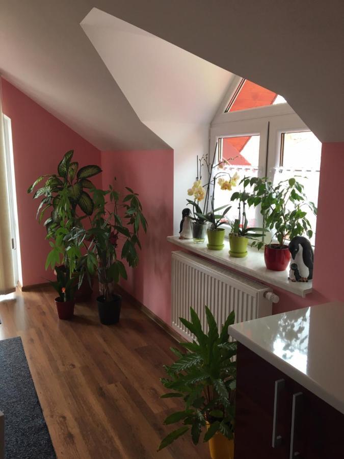 Appartement Privat Daniela Štrba Extérieur photo